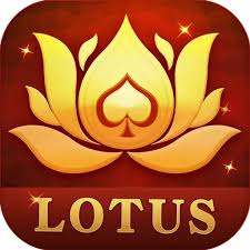 mbm bet rummy apk download